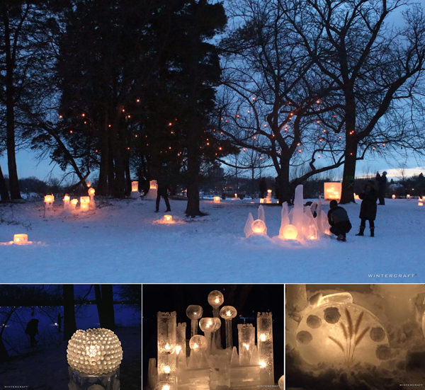 Enchanted Forest Community Ice Lantern Garden