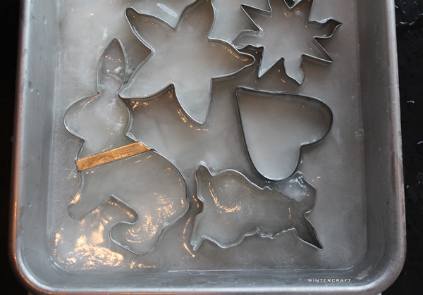 Metal Cookie Cutters in water frozen Wintercraft
