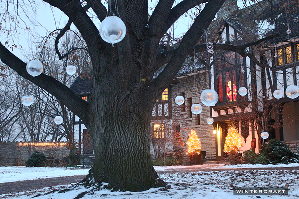 Globe Ice Lanterns Hanging in a tree by day