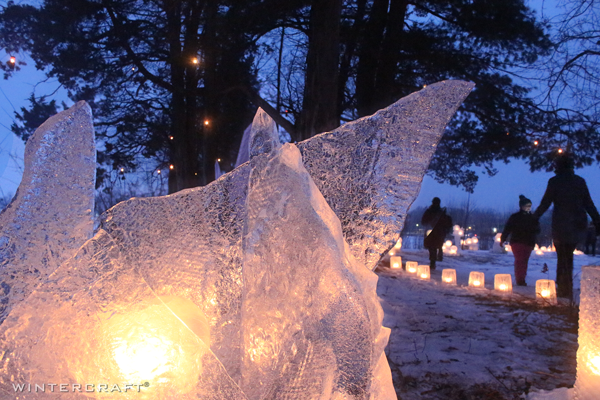 Ice Wrangler 2019 Enchanted Forest line up of ice luminaries in distance