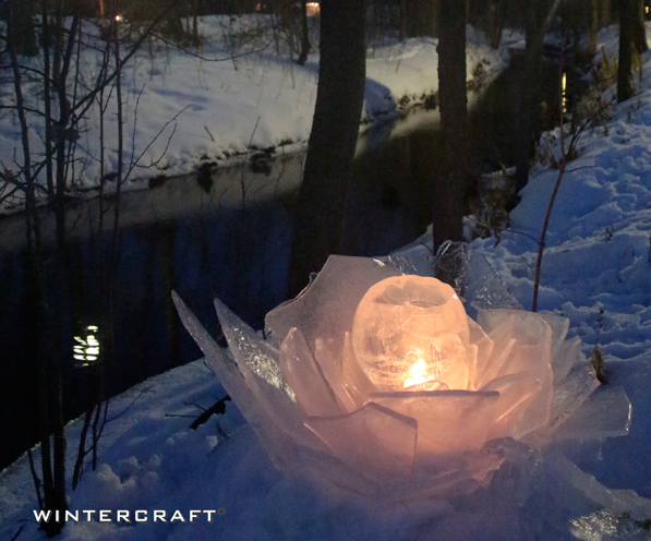 Ice Rose at one of the Middlemoon Creekwalks