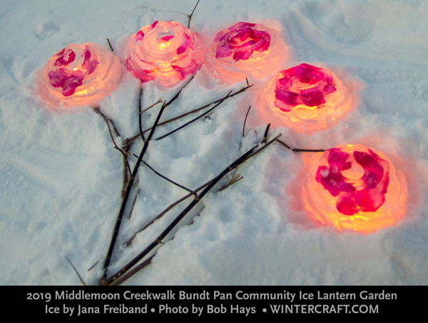 Rose Bouquet Ice Lanterns in Bundt Pan Community Ice Garden 2019 Middlemoon Creekwalk