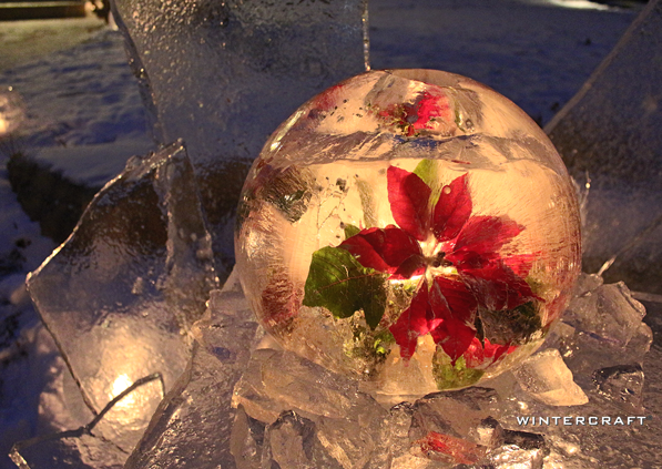 Poinsettia frozen into Globe Ice Lantern