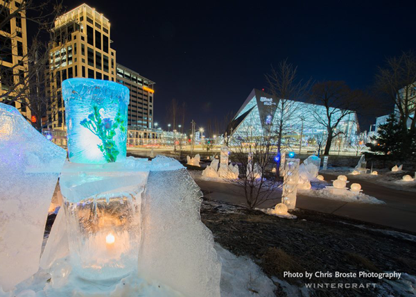 Wintercraft Ice Wrangler The Commons Flower Tower Photo by Chris Broste