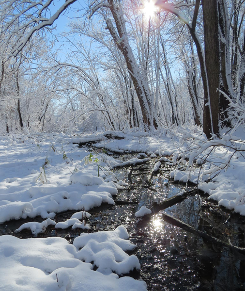 blanket of snow