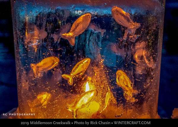 Rick Chasin came in really close to see the fish swimming in Mary's beautiful ice lantern. 2019 Middlemoon Creekwalk