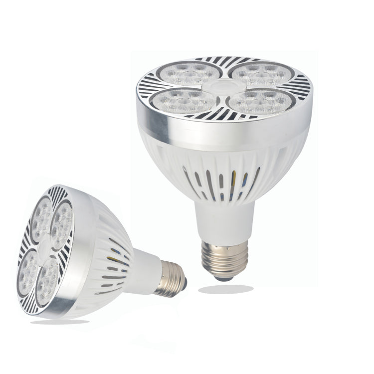 par30 spotlight bulb