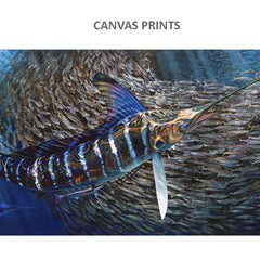 Marlin Canvas Print