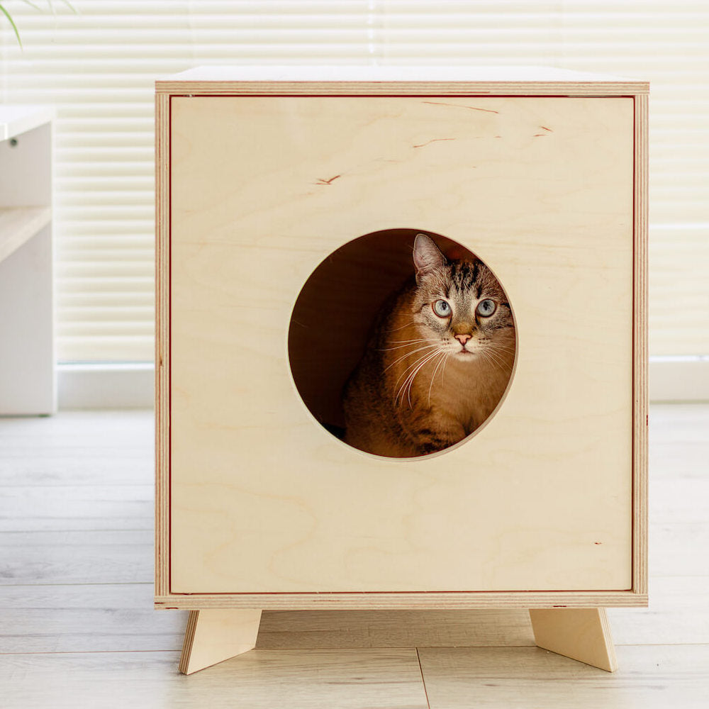 Middeleeuws Incarijk letterlijk Kattenbak Ombouw van Hout Meubel - Houten Kattenbak Design | Cat and W –  catandwood.nl