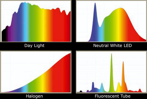 P6 Light Power Spectrum Chart