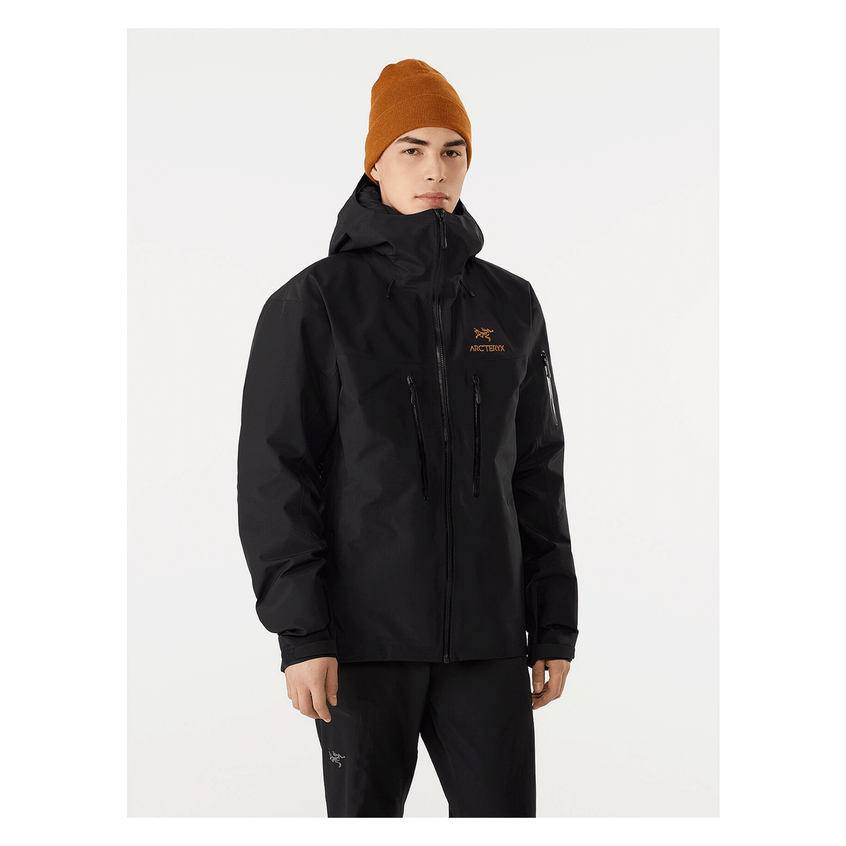 2022特集 SV Alpha ARC'TERYX Jacket BLACK 24K マウンテンパーカー