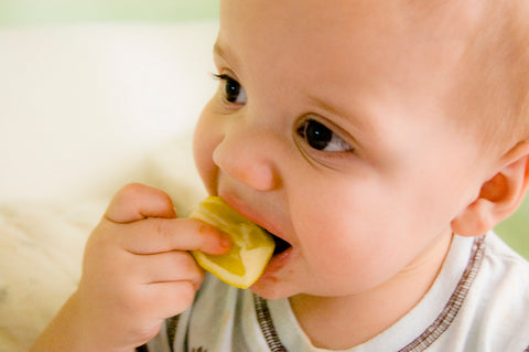 baby eating a lemon