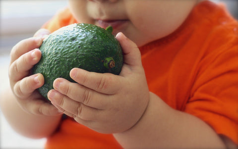 baby holding an avocado