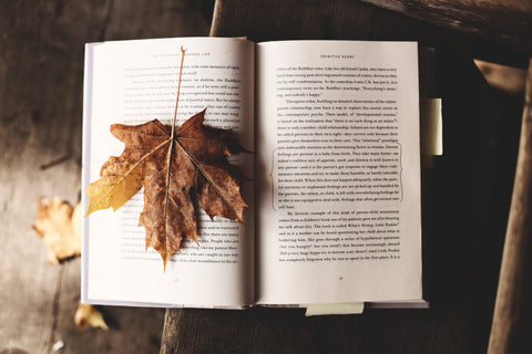book with a leaf on it 