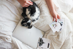 rabbit on bed with person