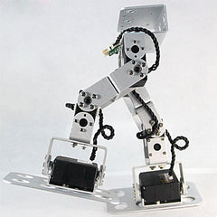 6 Degrees of Freedom Nano Biped Robot