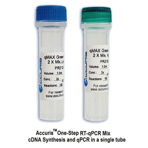 Accuris PR2120-L-100 qMAX Green One-Step RT-qPCR Kit, Low Rox, 100 Reactions Accuris PR2120-L-100 qMAX Green One-Step RT-qPCR Kit, Low Rox, 100 Reactions