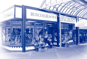 Bunches and Bow Shop Bunches Floral Designers, 9 Albion Place, Dunedin 9016