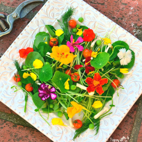 Salad with calendula or marigold petals also for Calendula Diaper Balm