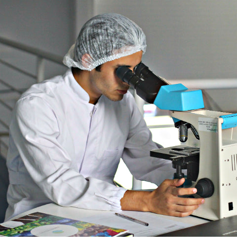 Laboratory assistant using microscope