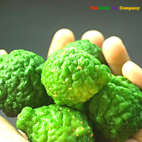 Bergamot Fruit