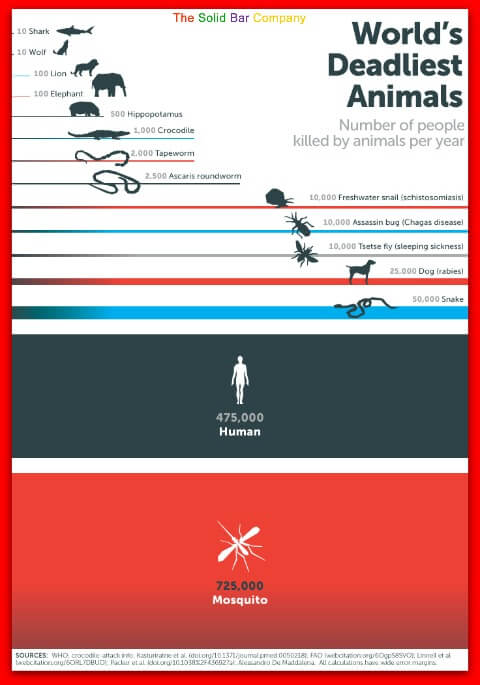 Data On The World's Deadliest Animals