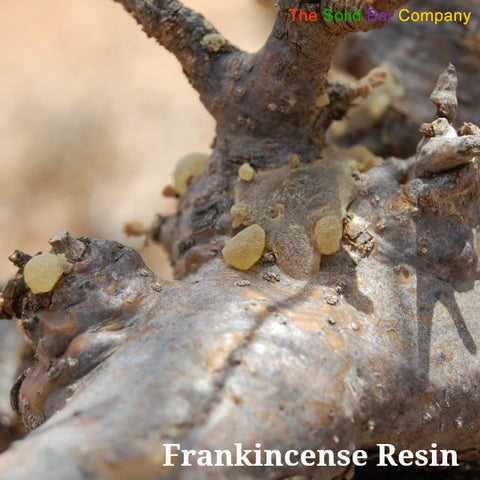 Frankincense resin fresh from the tree to destress at The Solid Bar Company