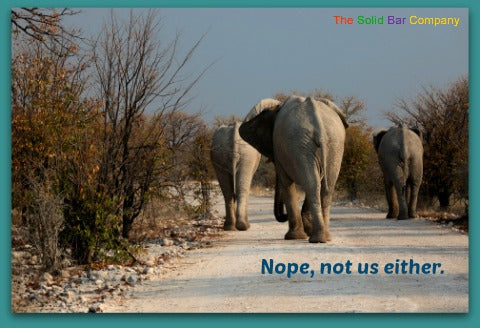 Image of an elephant at The Solid Bar Company