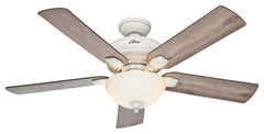 Image of a ceiling fan