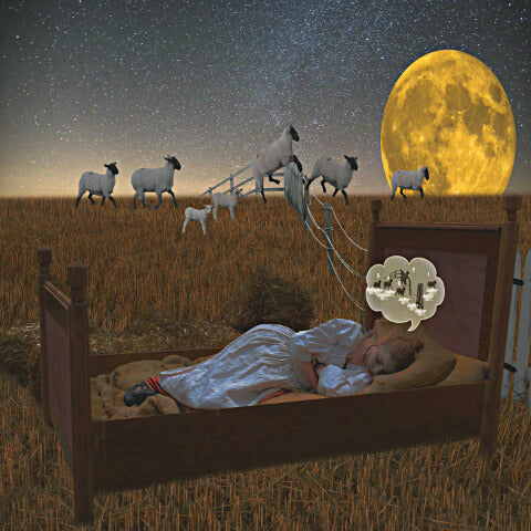 Insomnia counting sheep