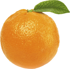 Image of a fresh orange