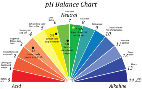 pH chart to test alkalinity or acidity of shampoo bars