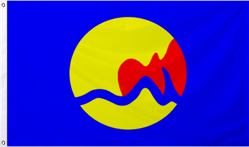 Grand Rapids Flag – BestFlag