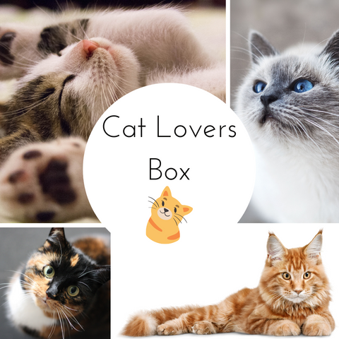 Cat Lovers Countdown Box - Complete Payment