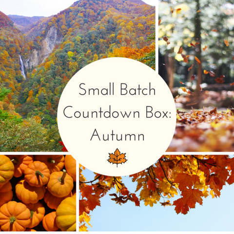 2020 Autumn Small Batch Countdown Box - Deposit