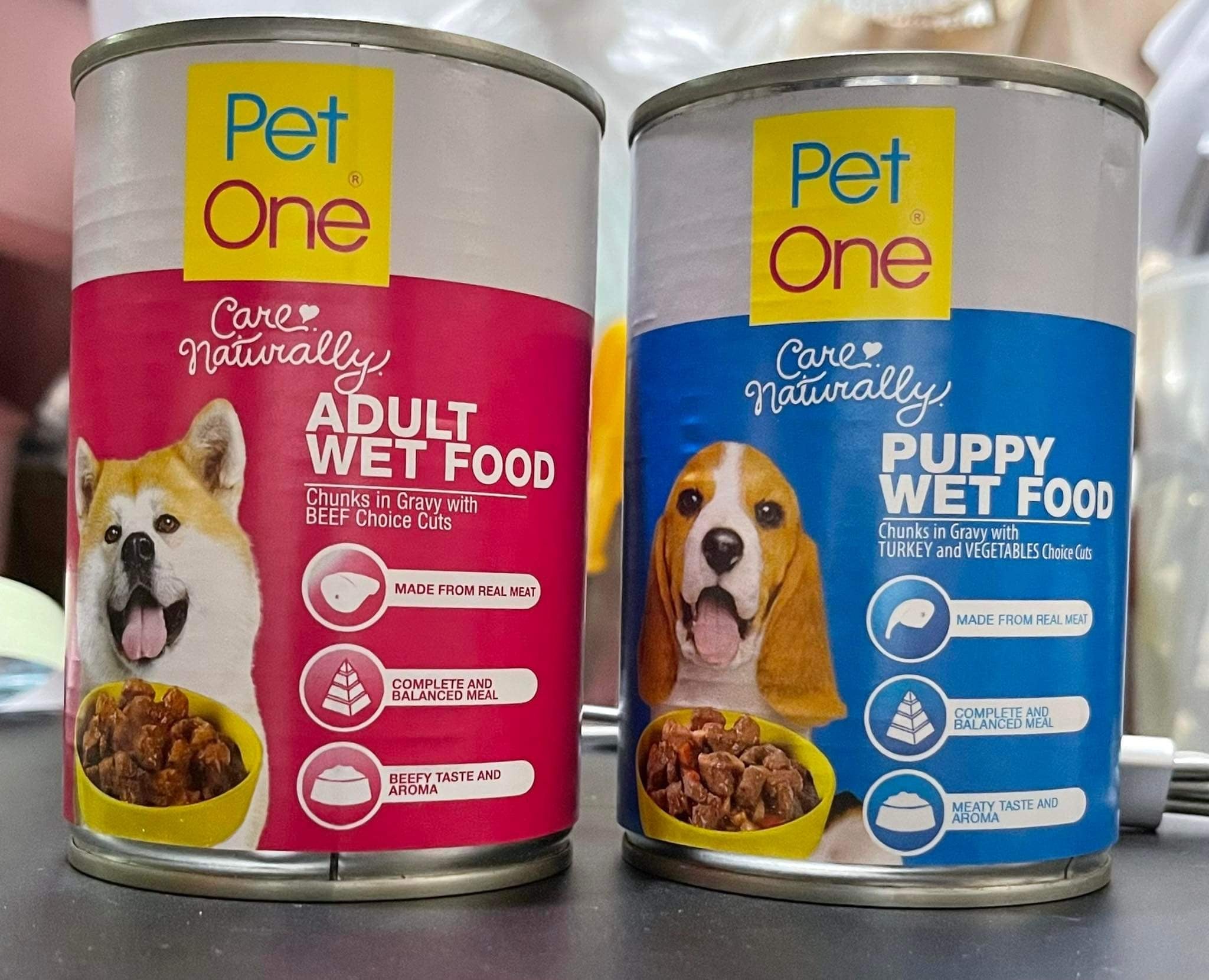 when can you feed a puppy wet food