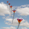 Spider kites Brasington Between the lines #1