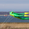 Wolkensturmer Fritz la grenouille XL