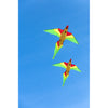 HQ Parrot 3D