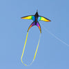 HQ Swallow Kite Rainbow