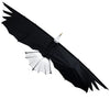 Revolution Eagle