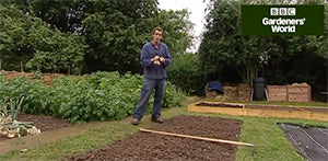 Monty don sowing forage rye green manure