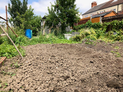 bare soil allotment