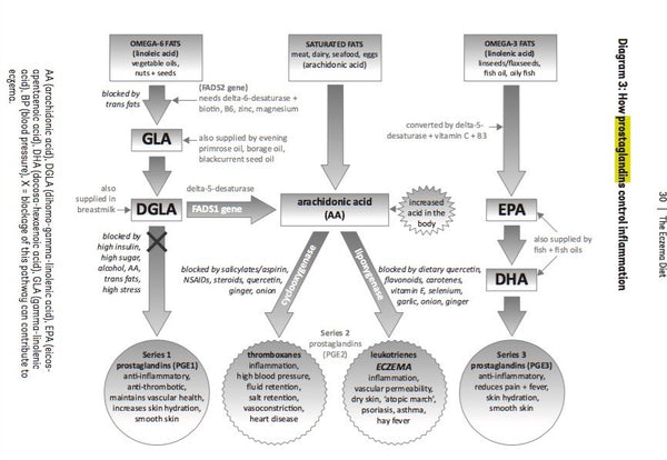 How prostaglandins control eczema