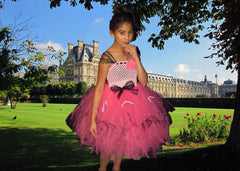 Bella Paris Tutu