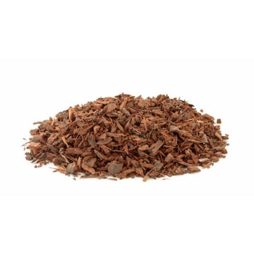 pygeum-bark-extract.webp
