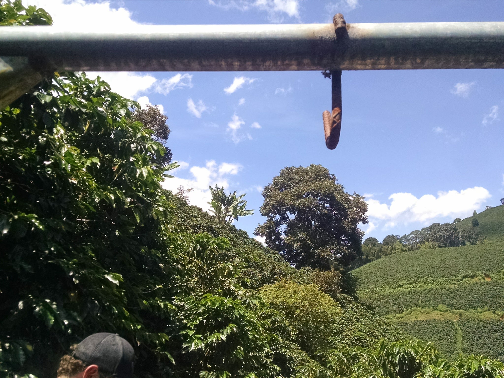 Costa Rica Coffee Farm Hook