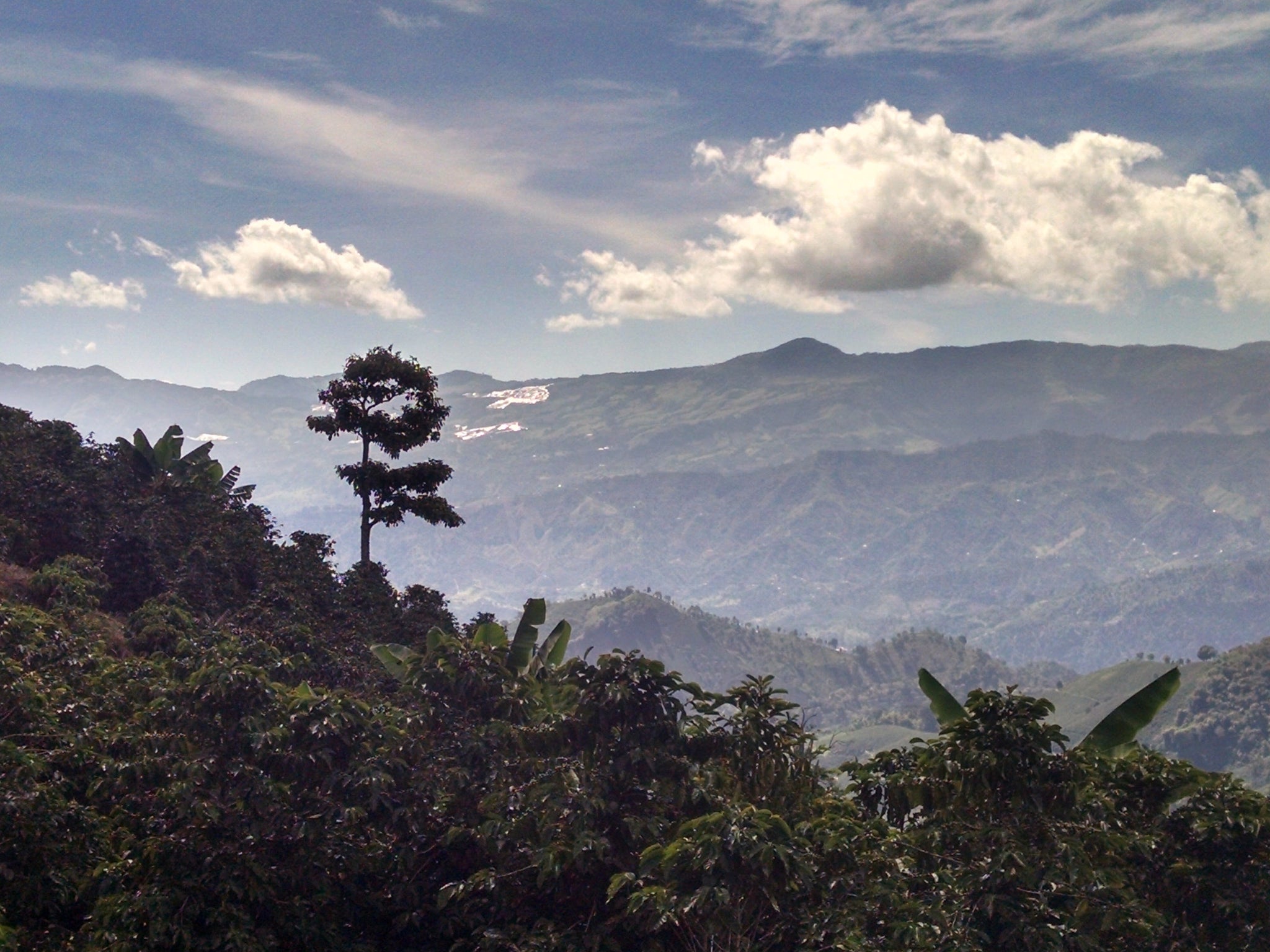 Costa Rica Coffee Farm 