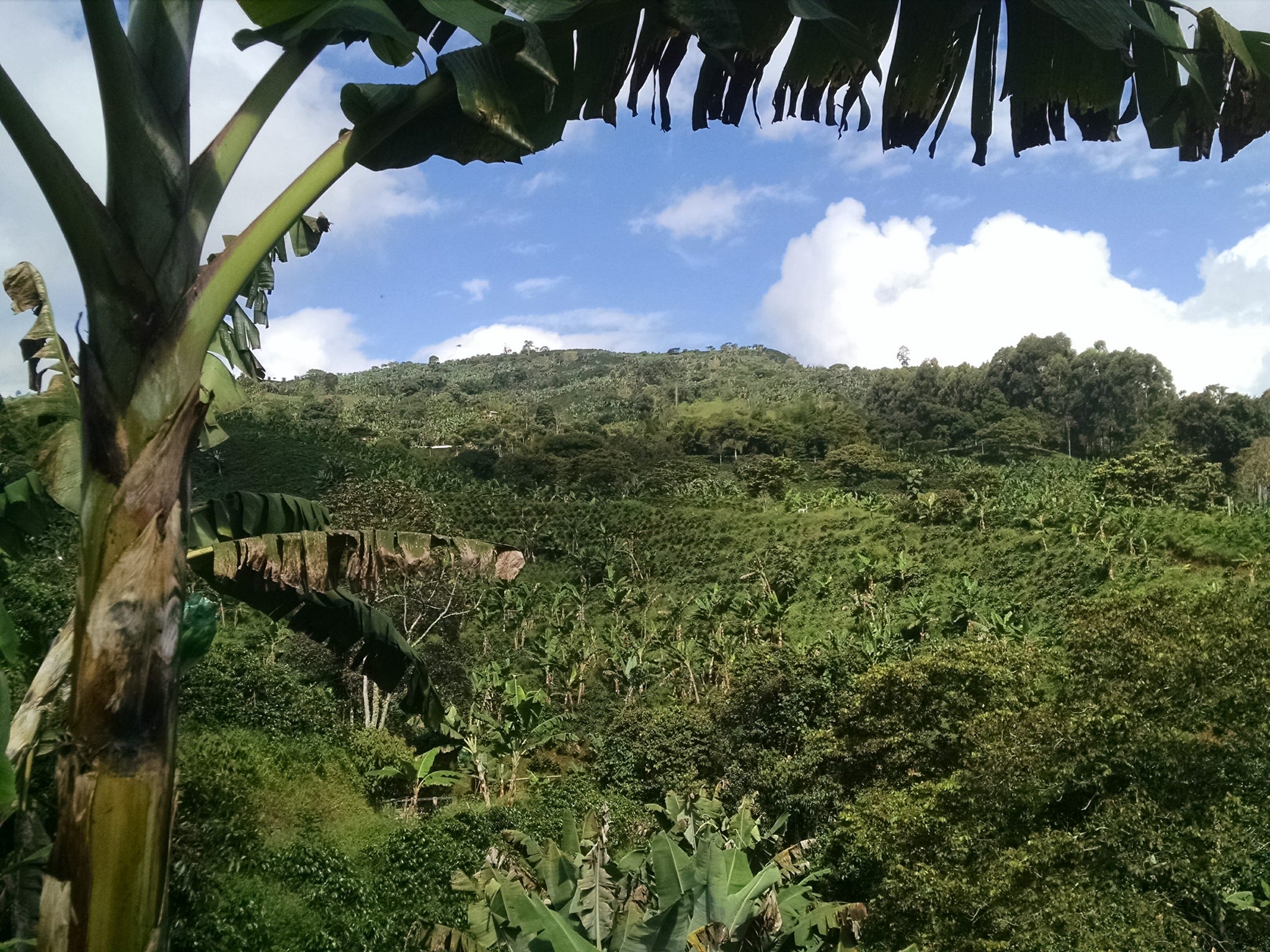 Costa Rica Hills