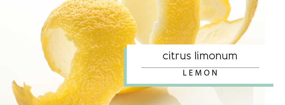 Learn more about Lemon Essential Oil